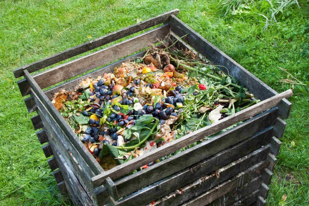 The Power of Composting: What’s Compostable and Why It&nbsp;Matters