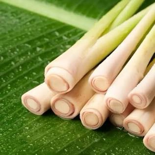 The Power of Lemongrass: Health Benefits, Recipes & Essential Oil&nbsp;Uses