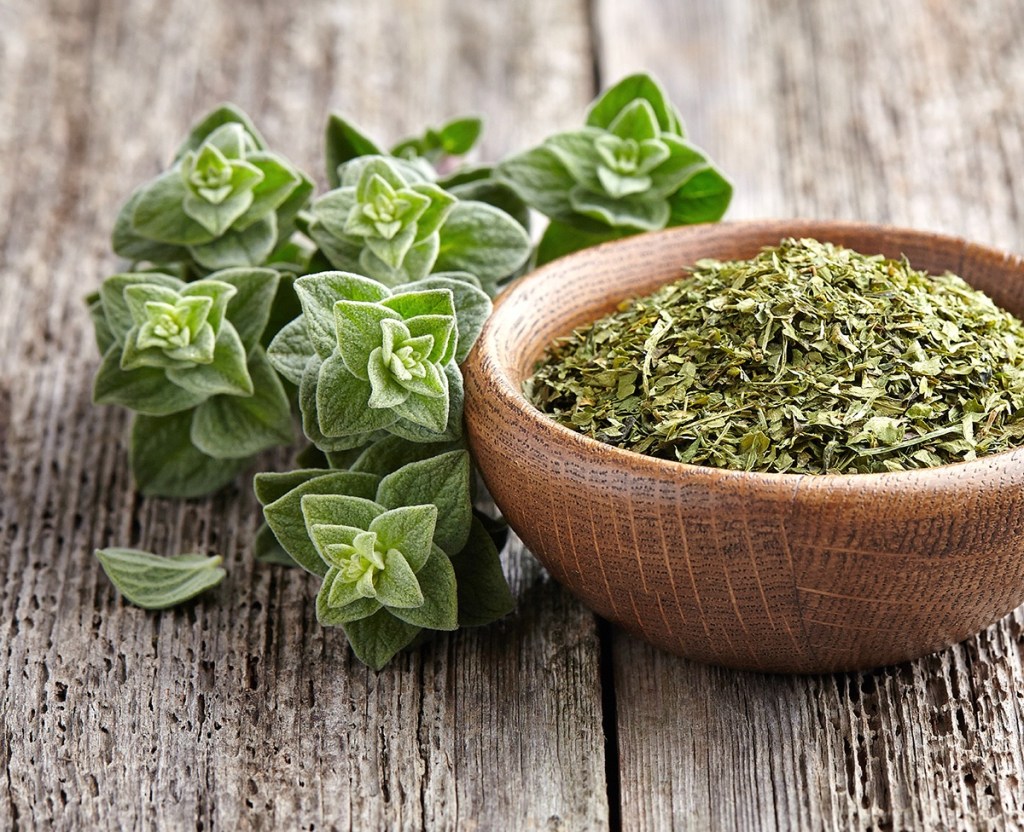 The Incredible Health Benefits of Oregano and Oregano Essential&nbsp;Oil